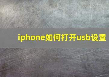 iphone如何打开usb设置