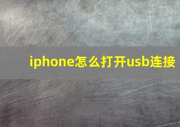 iphone怎么打开usb连接