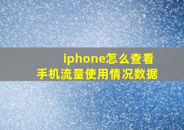 iphone怎么查看手机流量使用情况数据