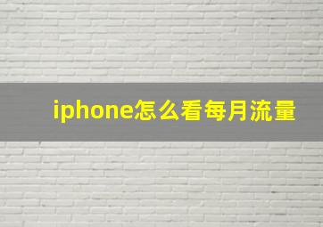 iphone怎么看每月流量