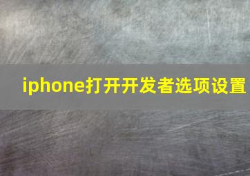 iphone打开开发者选项设置