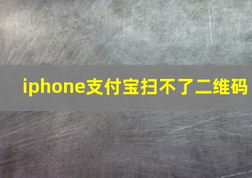 iphone支付宝扫不了二维码