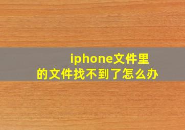 iphone文件里的文件找不到了怎么办