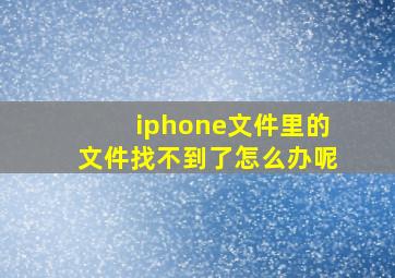 iphone文件里的文件找不到了怎么办呢