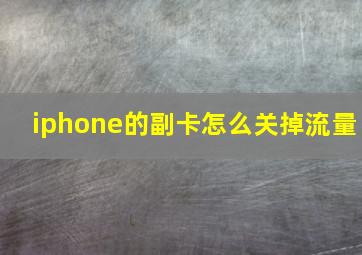 iphone的副卡怎么关掉流量