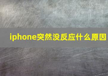 iphone突然没反应什么原因