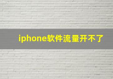 iphone软件流量开不了