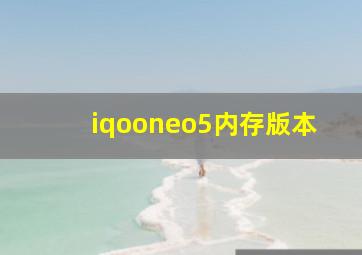 iqooneo5内存版本