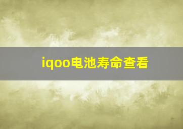 iqoo电池寿命查看