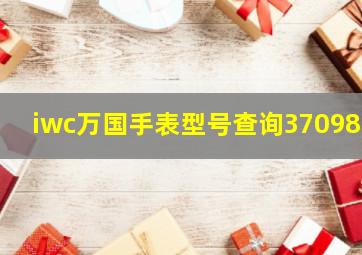 iwc万国手表型号查询370988