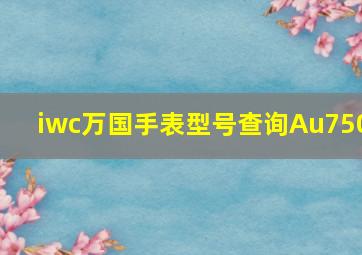 iwc万国手表型号查询Au750