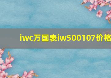 iwc万国表iw500107价格