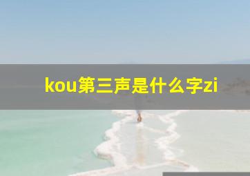 kou第三声是什么字zi