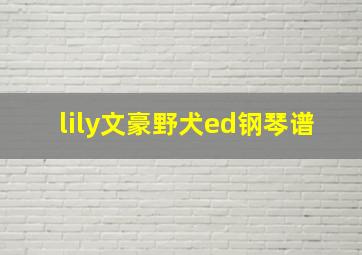 lily文豪野犬ed钢琴谱