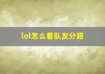 lol怎么看队友分路