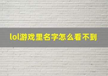 lol游戏里名字怎么看不到