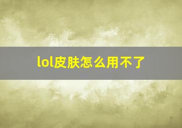 lol皮肤怎么用不了