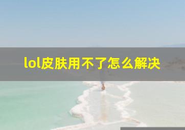 lol皮肤用不了怎么解决