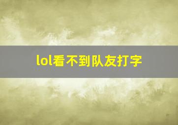 lol看不到队友打字