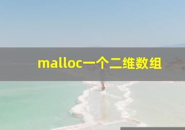 malloc一个二维数组