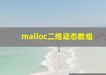 malloc二维动态数组