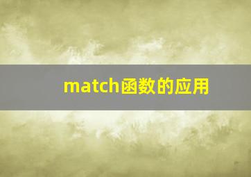 match函数的应用