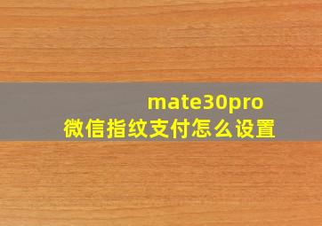 mate30pro微信指纹支付怎么设置