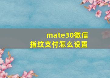 mate30微信指纹支付怎么设置