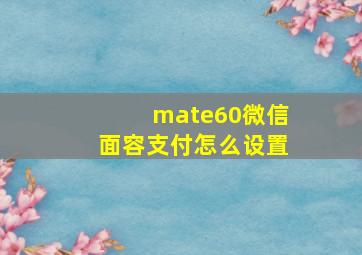 mate60微信面容支付怎么设置