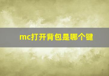 mc打开背包是哪个键