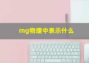 mg物理中表示什么