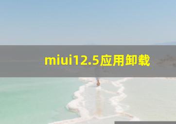 miui12.5应用卸载