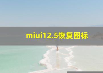 miui12.5恢复图标