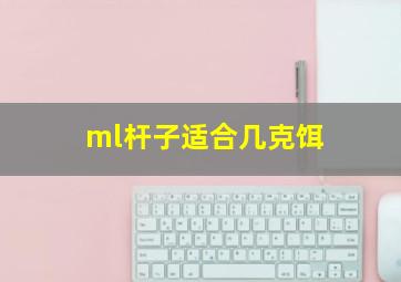 ml杆子适合几克饵