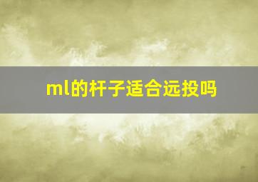 ml的杆子适合远投吗