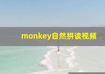 monkey自然拼读视频