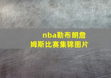 nba勒布朗詹姆斯比赛集锦图片