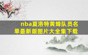 nba夏洛特黄蜂队员名单最新版图片大全集下载