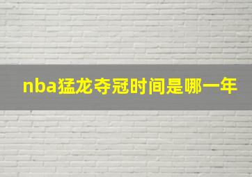 nba猛龙夺冠时间是哪一年