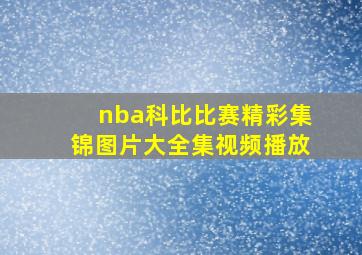 nba科比比赛精彩集锦图片大全集视频播放