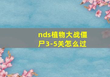 nds植物大战僵尸3-5关怎么过