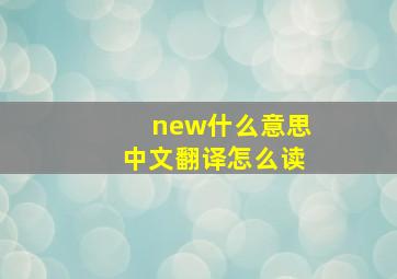 new什么意思中文翻译怎么读