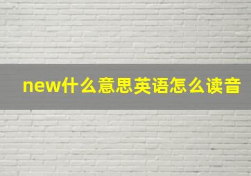 new什么意思英语怎么读音