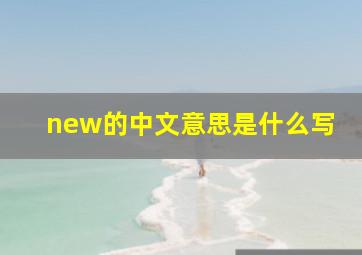 new的中文意思是什么写