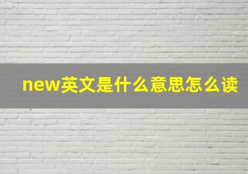 new英文是什么意思怎么读