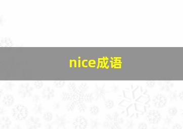 nice成语