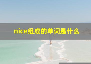 nice组成的单词是什么