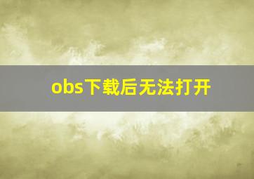 obs下载后无法打开