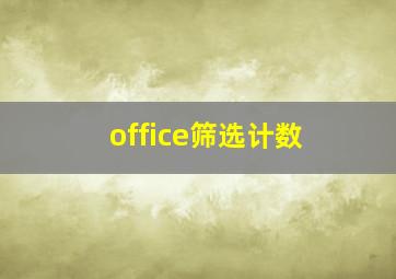 office筛选计数