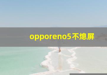 opporeno5不熄屏